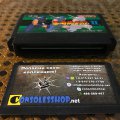 Ninja Gaiden II: The Dark Sword of Chaos / Ninja Ryukenden II: Ankoku no Jashinken (б/у) для Famicom