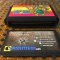 Teenage Mutant Ninja Turtles III: The Manhattan Project / Teenage Mutant Ninja Turtles 2: The Manhattan Project (б/у) для Famicom
