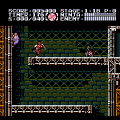 Ninja Gaiden III: The Ancient Ship of Doom (NES) скриншот-2