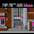 Ninja Gaiden (NES) скриншот-2