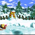 Donkey Kong Country 3: Dixie Kong's Double Trouble (SNES) скриншот-4