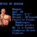 Final Fight (SNES) скриншот-4