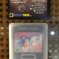 Sonic the Hedgehog (б/у) для Sega Game Gear