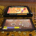 QuackShot starring Donald Duck (б/у) для Sega Mega Drive