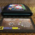 The Fantastic Adventures of Dizzy (б/у) для Sega Mega Drive