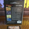 World of Illusion Starring Mickey Mouse and Donald Duck (б/у) для Sega Mega Drive