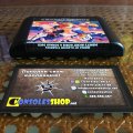 World of Illusion Starring Mickey Mouse and Donald Duck (б/у) для Sega Mega Drive