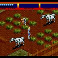 Light Crusader для Sega Mega Drive