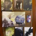 Shadow of the Colossus (PS2) (PAL) (б/у) фото-4